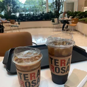 테라로사 사진