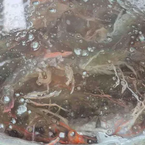 영숙이네 리뷰 사진