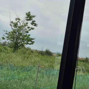 영숙이네 리뷰 사진