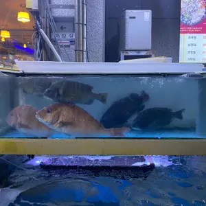 완도산회 포장마차 리뷰 사진