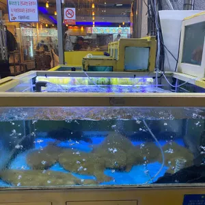 완도산회 포장마차 리뷰 사진