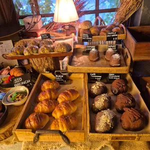 도토리 리뷰 사진