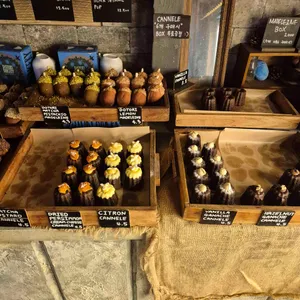 도토리 리뷰 사진