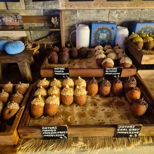 도토리 리뷰 사진