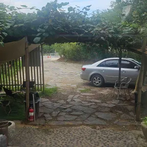 주남얼큰샤브칼국수 리뷰 사진