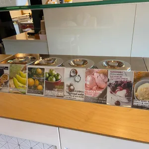 안토누찌 리뷰 사진