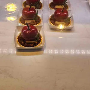 오브레멘 리뷰 사진