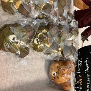 카페루트 사진 1