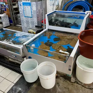 돌수산 리뷰 사진