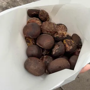 천장리 알프스마을 사진