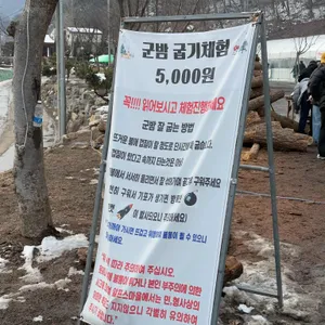 천장리 알프스마을 리뷰 사진