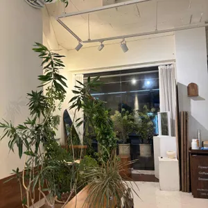 카페 를 리뷰 사진