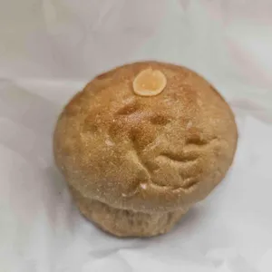 콩키 대표 사진