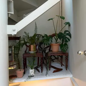 오버리프 리뷰 사진