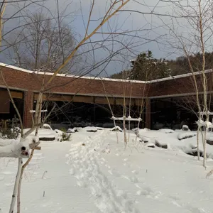 모쓰 리뷰 사진