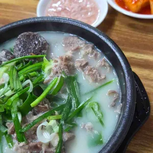 양지식당 리뷰 사진
