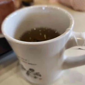일리에콩브레 대표 사진