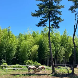 대한목장 리뷰 사진