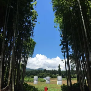 대한목장 리뷰 사진