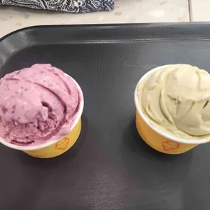 러셔스 스쿱스 사진