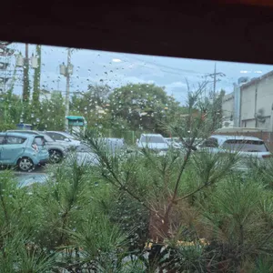 카페손수 리뷰 사진