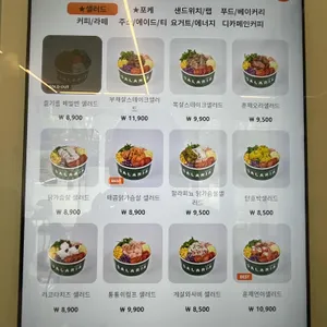 샐러리아 리뷰 사진