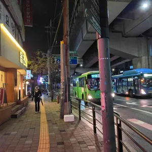 읍천리382 리뷰 사진