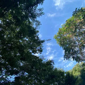 미사장 리뷰 사진