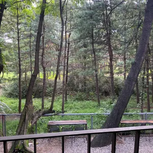 미사장 리뷰 사진