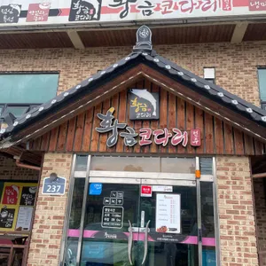 황금코다리 사진