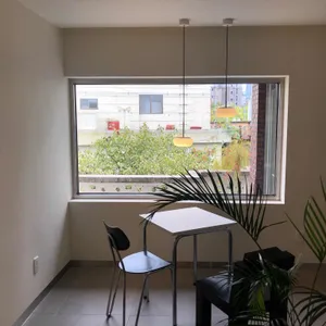 낫스소스 리뷰 사진