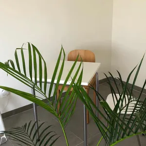 낫스소스 리뷰 사진