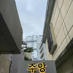 주앙 사진