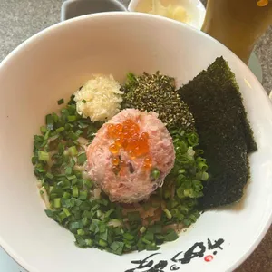 거북이의꿈 사진