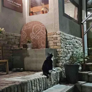 마담, 마담 리뷰 사진