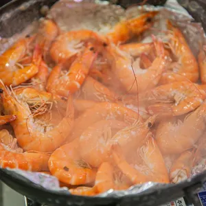 해물308 사진
