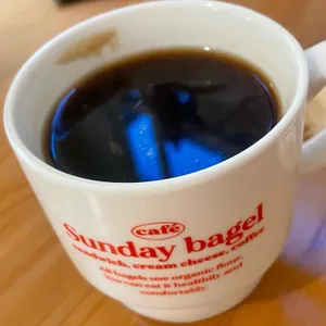 선데이베이글 사진