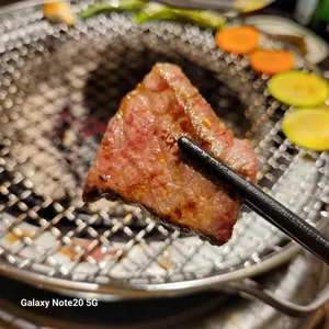 만게츠 사진