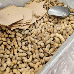 파이브가이즈 사진