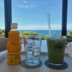 휘카 사진