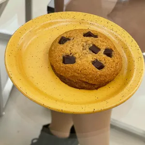 로피 사진