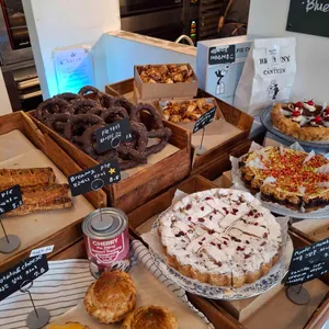 브레니파이칸틴 리뷰 사진