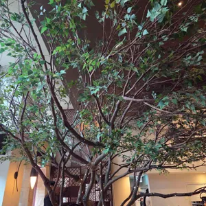 타니 넥스트도어 리뷰 사진