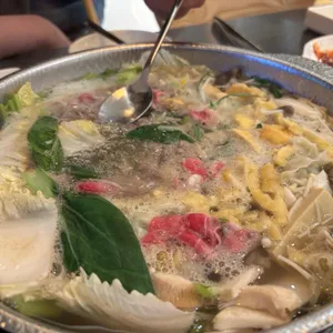 샤브플란트 사진