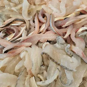 동부회센타 사진