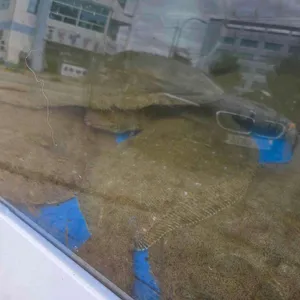 신유네 회포장 리뷰 사진