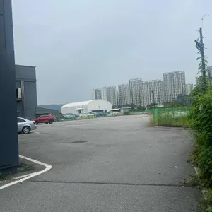 샤브올데이 리뷰 사진