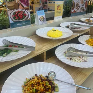 샤브올데이 사진