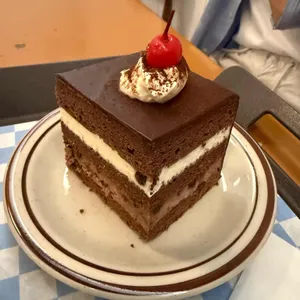 브레니파이칸틴 사진 2