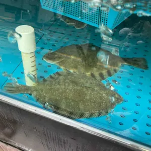 회랑 구이랑 리뷰 사진